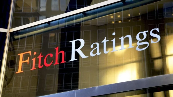 Fitch Rating2025